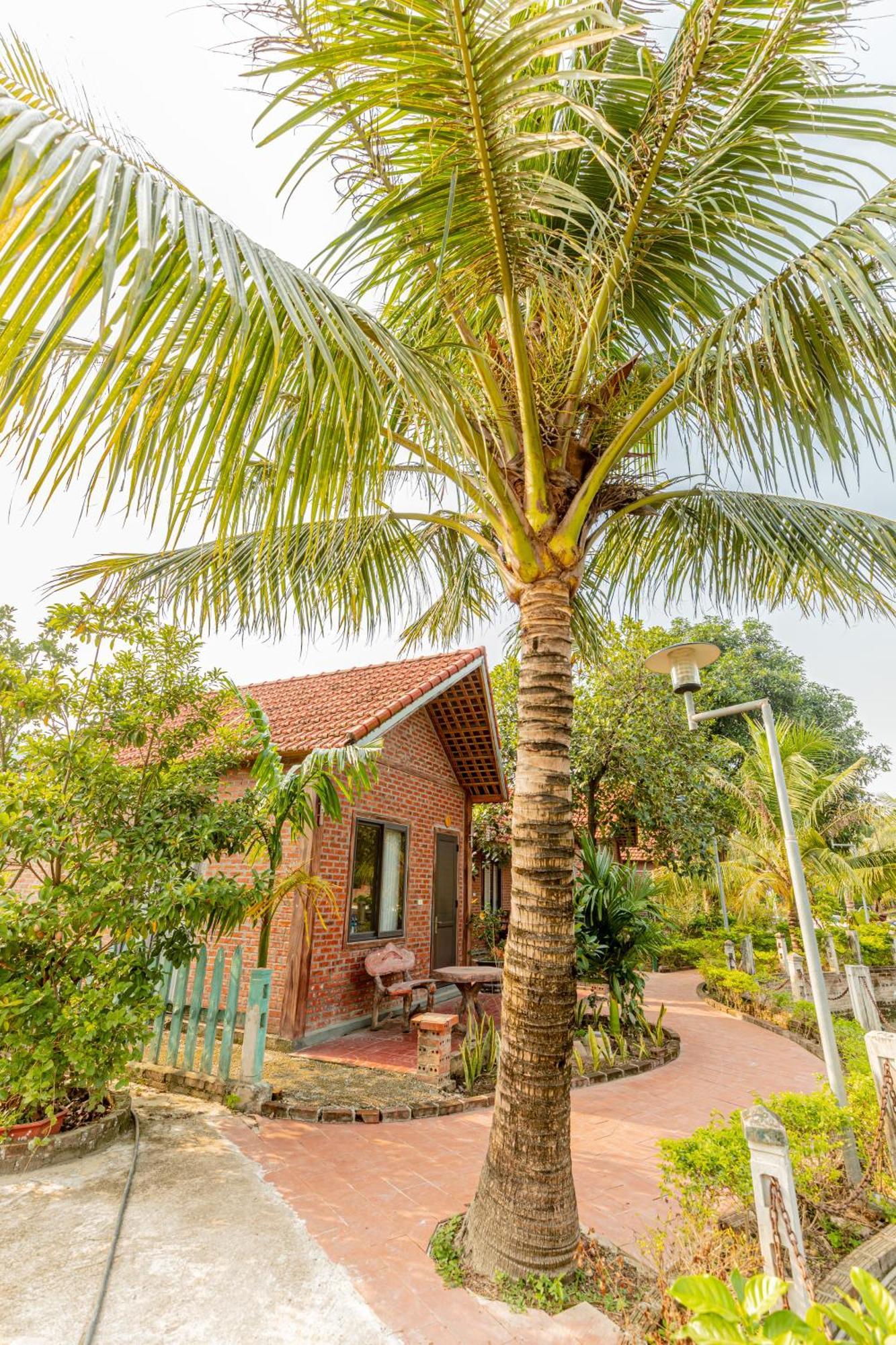 Tam Coc Green Garden Bungalow Ninh Binh Exterior foto